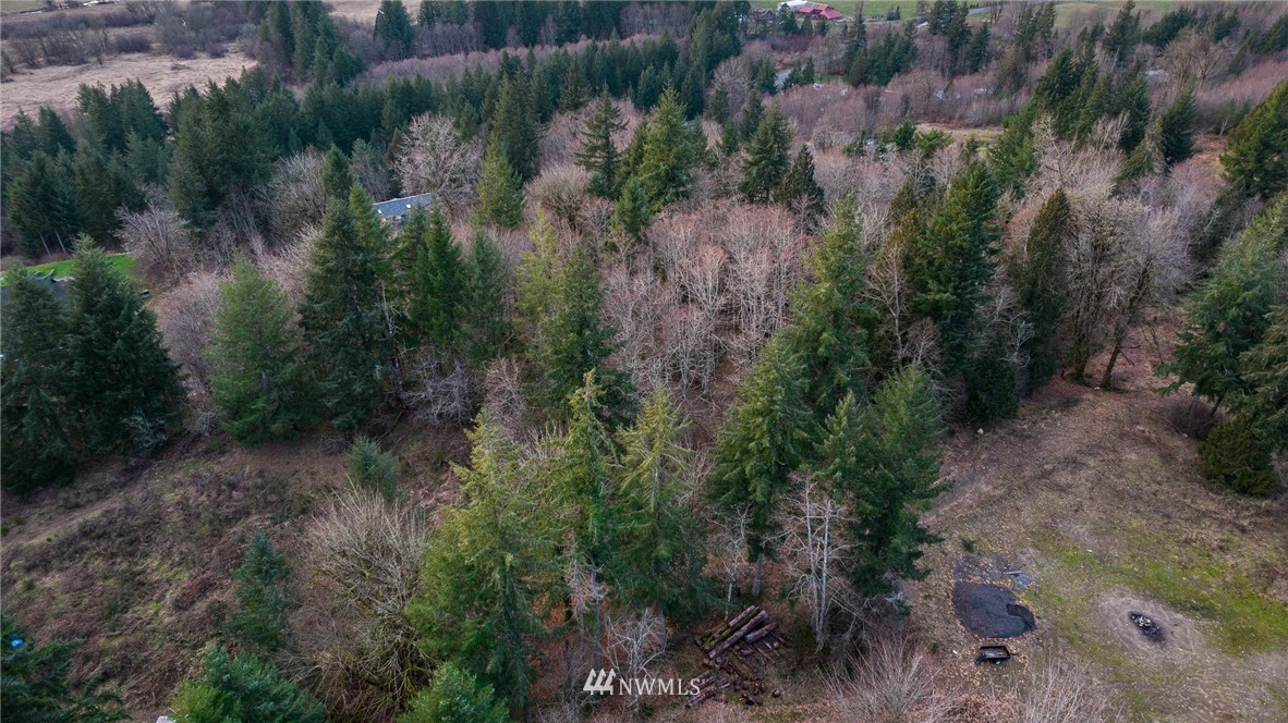 14126 Littlerock Road Southwest Rochester, WA 98579 - Photo 38 of 40 a view of a lot of trees and bushes