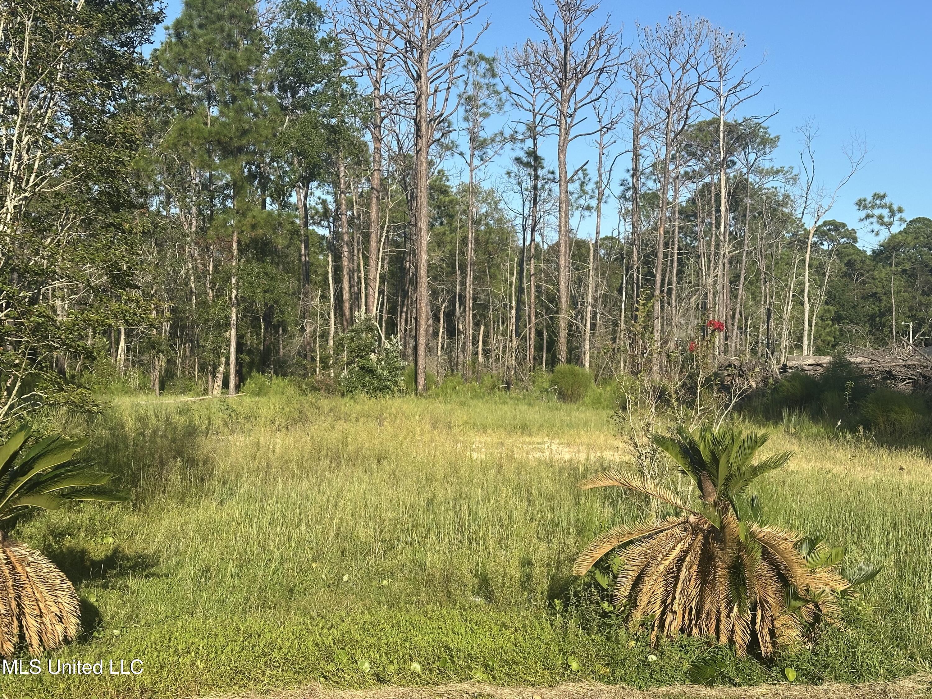 1020 May Street Ocean Springs, MS 39564 - Photo 3 of 6 IMG_9848