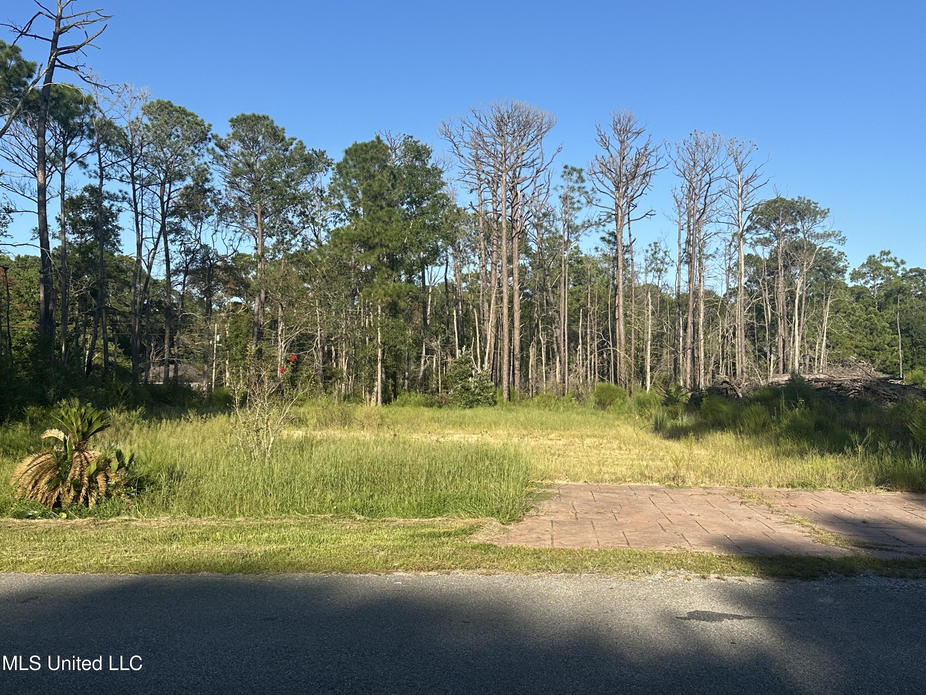 1020 May Street Ocean Springs, MS 39564 - Photo 4 of 6 IMG_9850