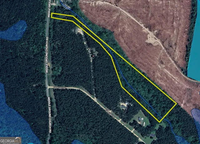 a view of a tree with a tree