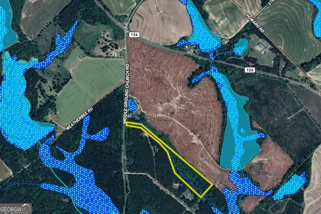 $60,000 | 0 Middle Ground Church Road, Chester, GA 31012