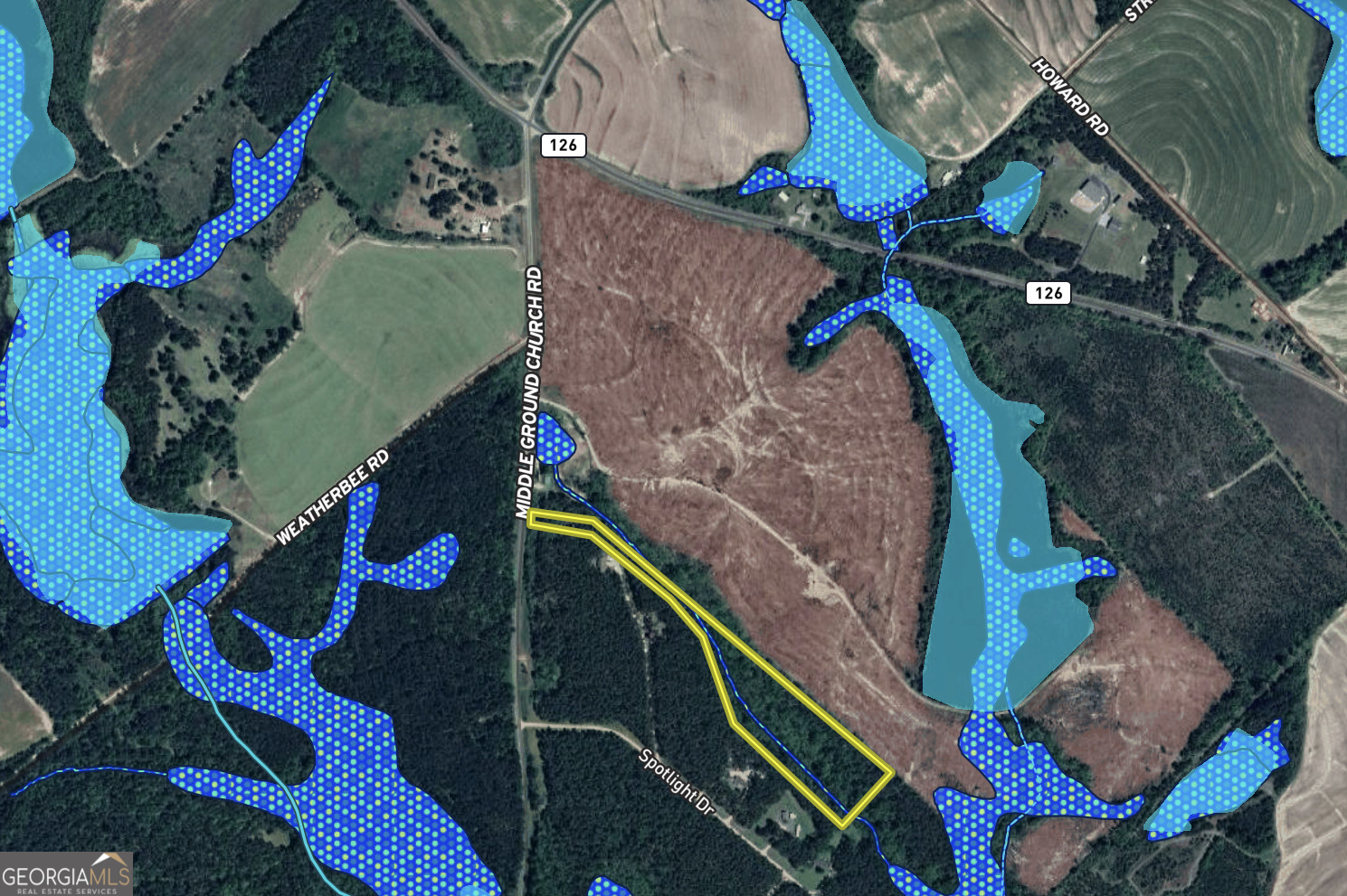 0 Middle Ground Church Road Chester, GA 31012 - Photo 12 of 13