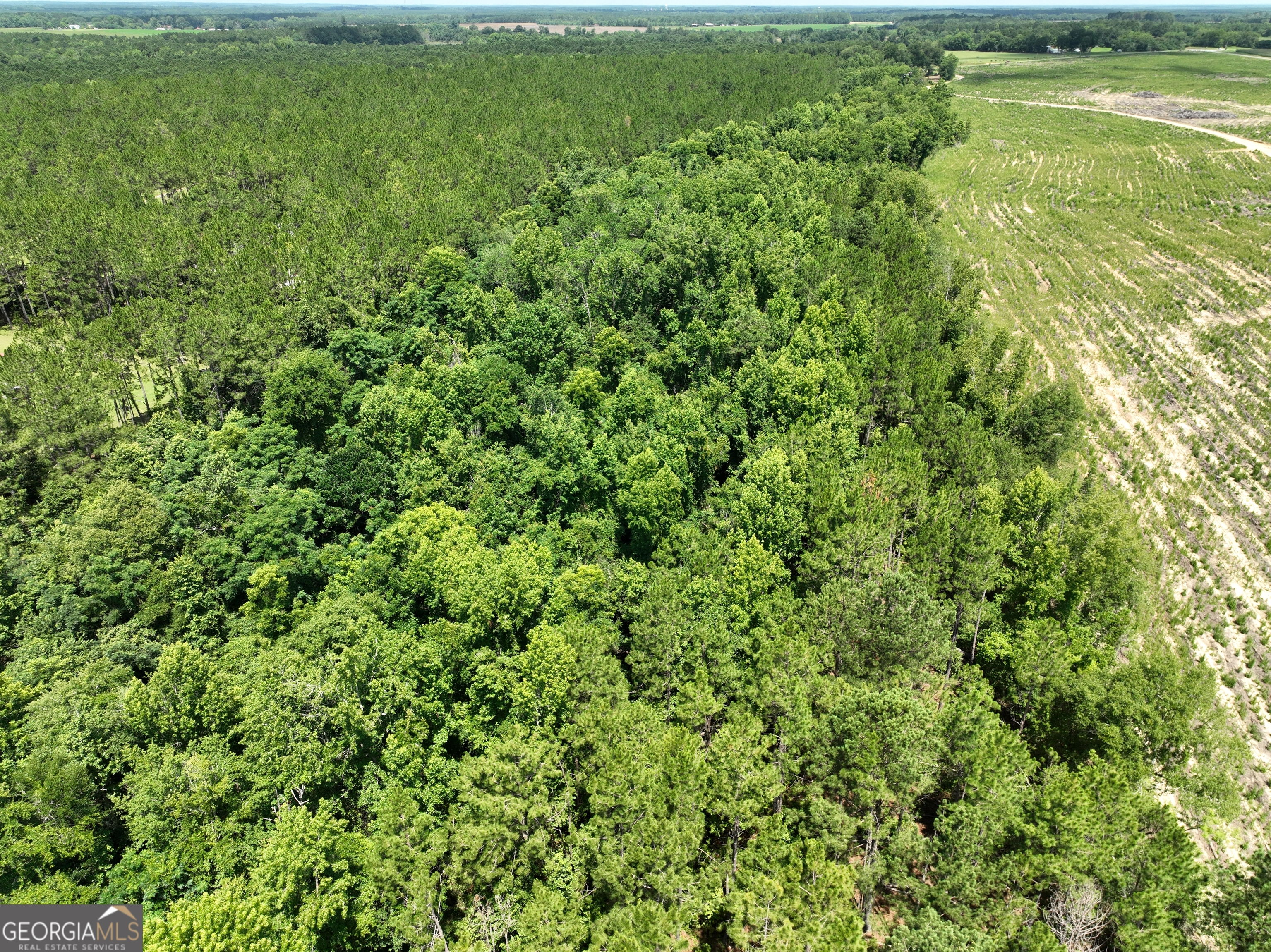 0 Middle Ground Church Road Chester, GA 31012 - Photo 2 of 13 a view of a field of grass and trees