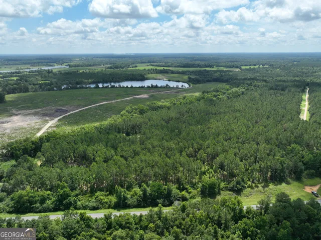 a view of a city with lots of trees