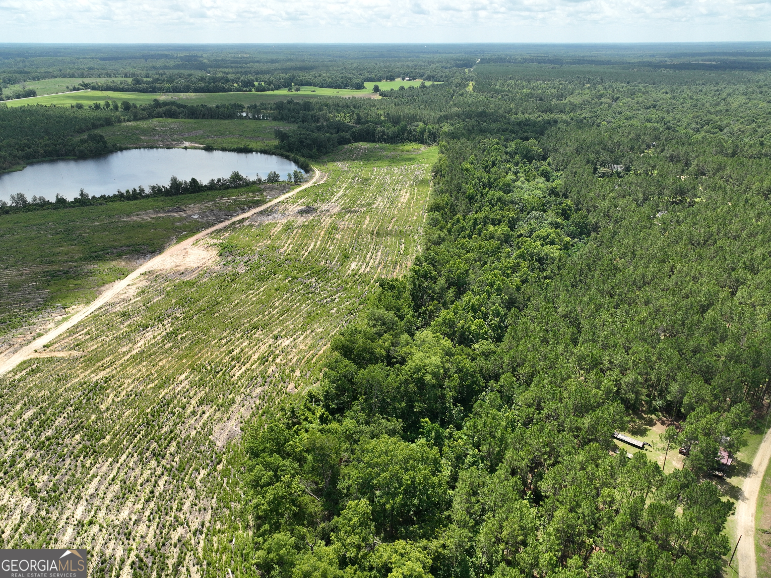 0 Middle Ground Church Road Chester, GA 31012 - Photo 4 of 13 a view of lake with mountain