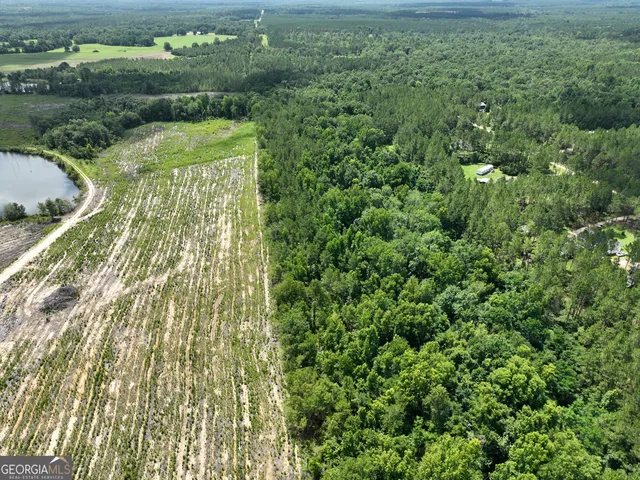 a view of a garden from a bench