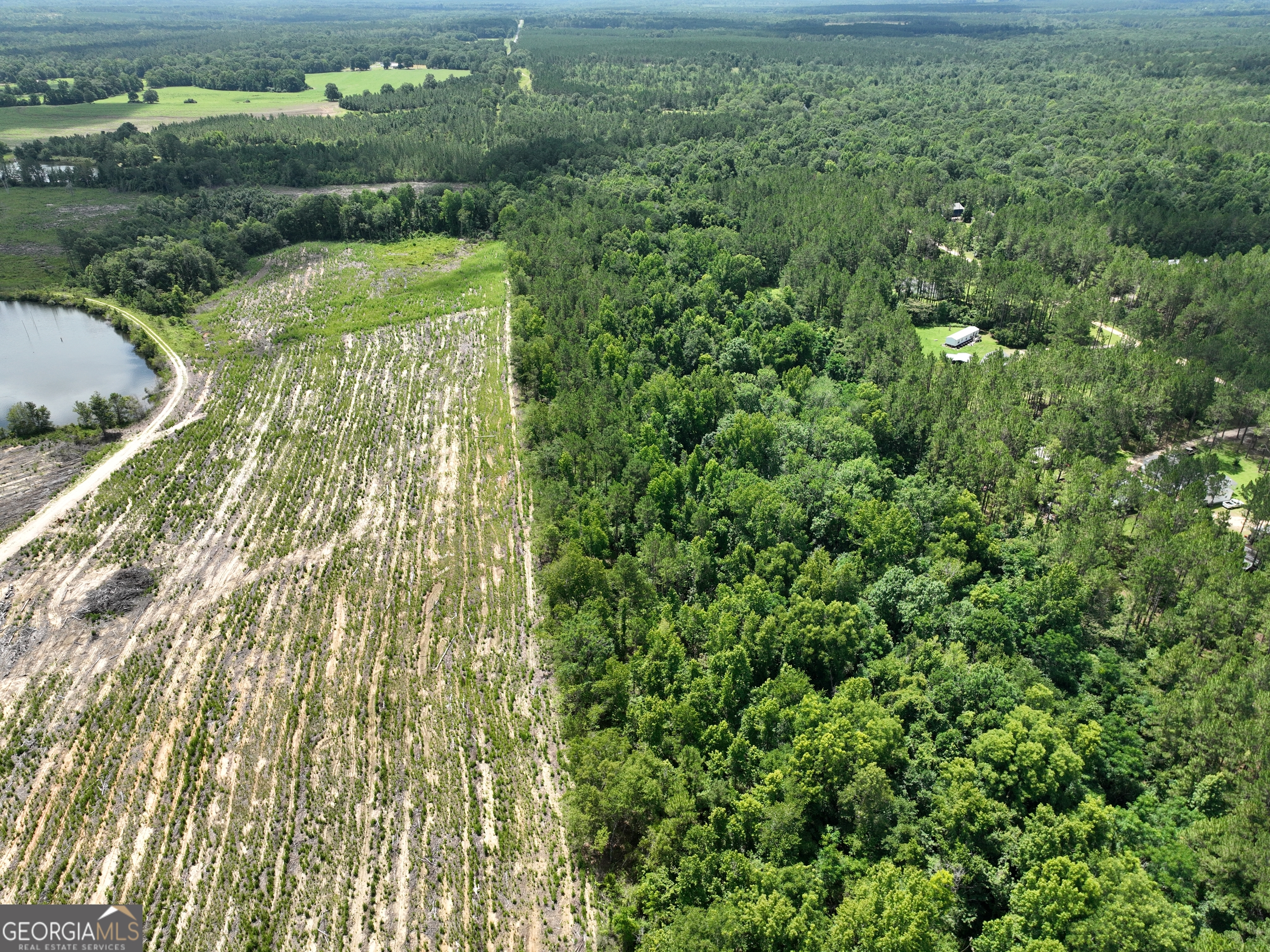 0 Middle Ground Church Road Chester, GA 31012 - Photo 5 of 13 a view of a garden from a bench