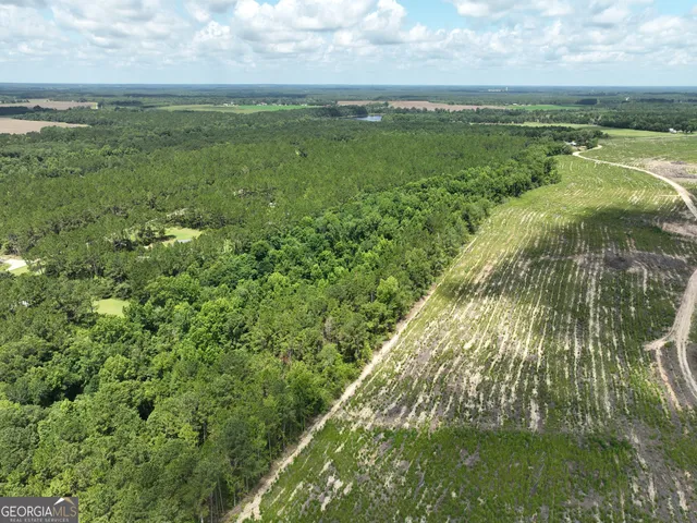 a view of a field with an ocean