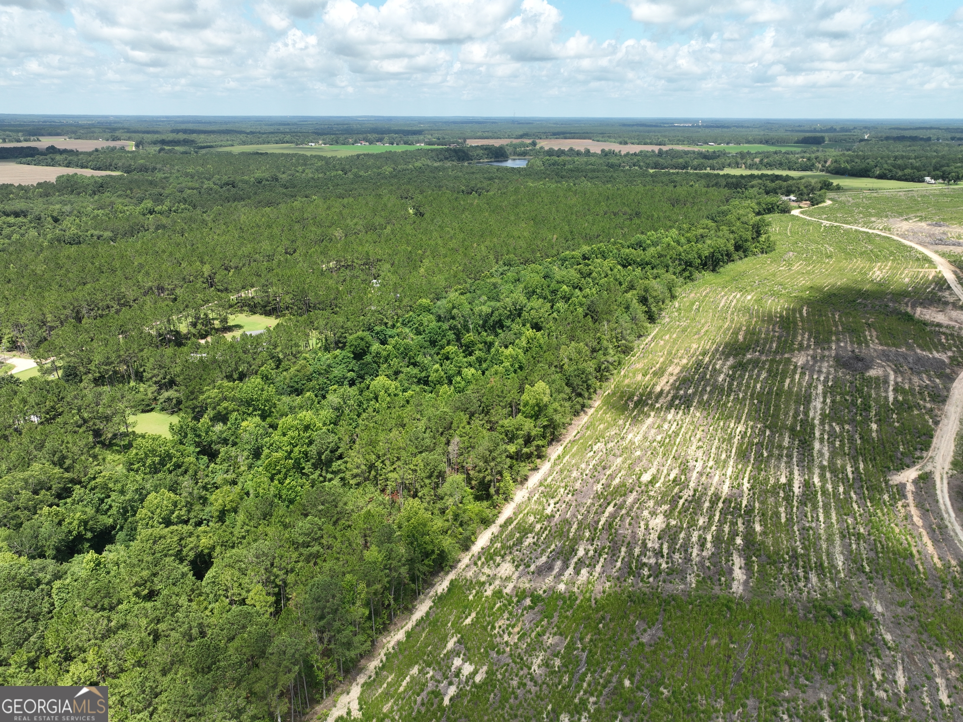 0 Middle Ground Church Road Chester, GA 31012 - Photo 6 of 13 a view of a field with an ocean