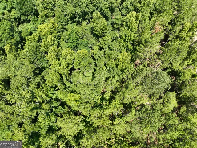 a view of a lush green field