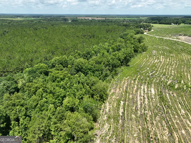 a view of a field with an ocean view