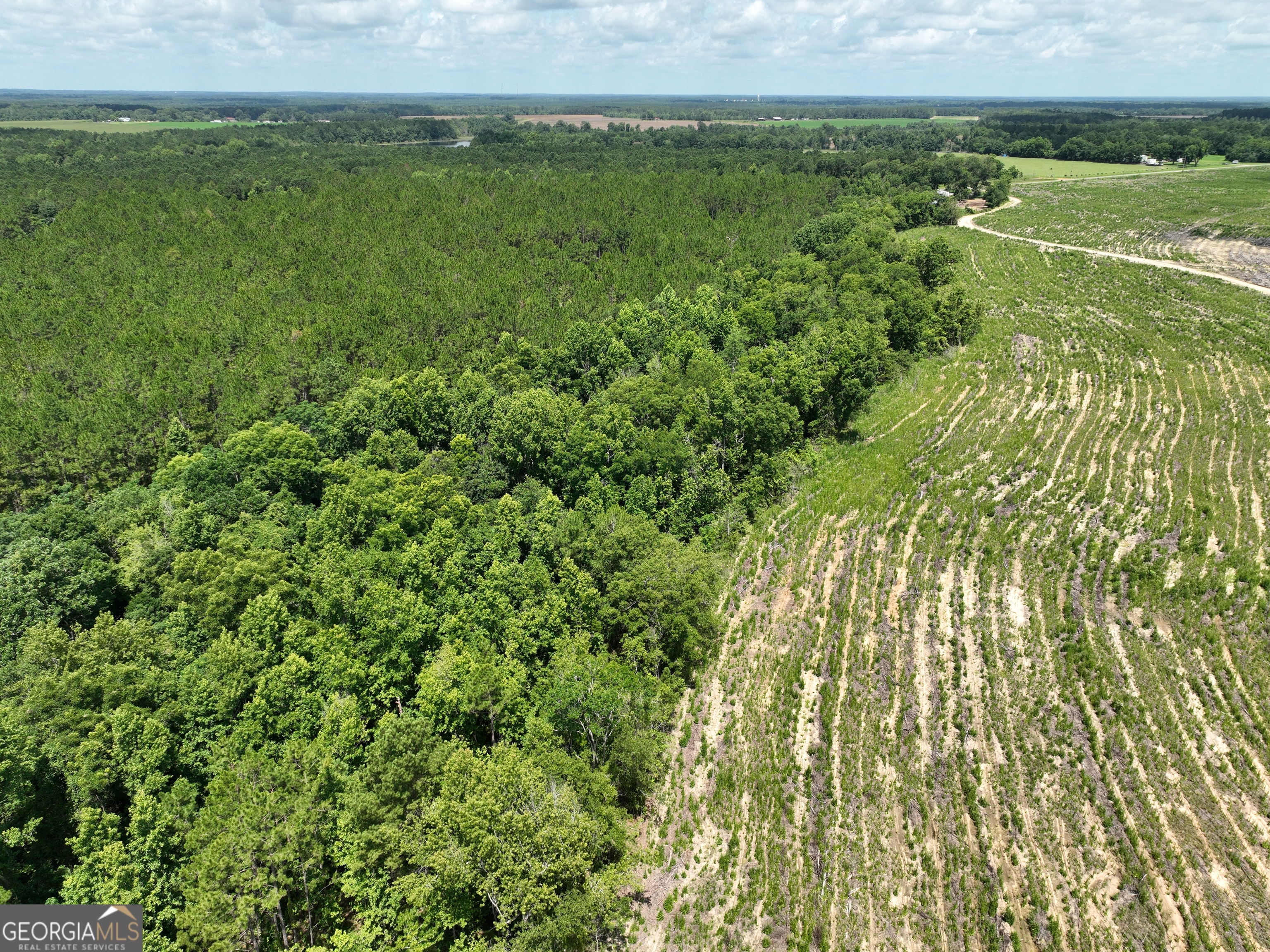 0 Middle Ground Church Road Chester, GA 31012 - Photo 8 of 13 a view of a field with an ocean view