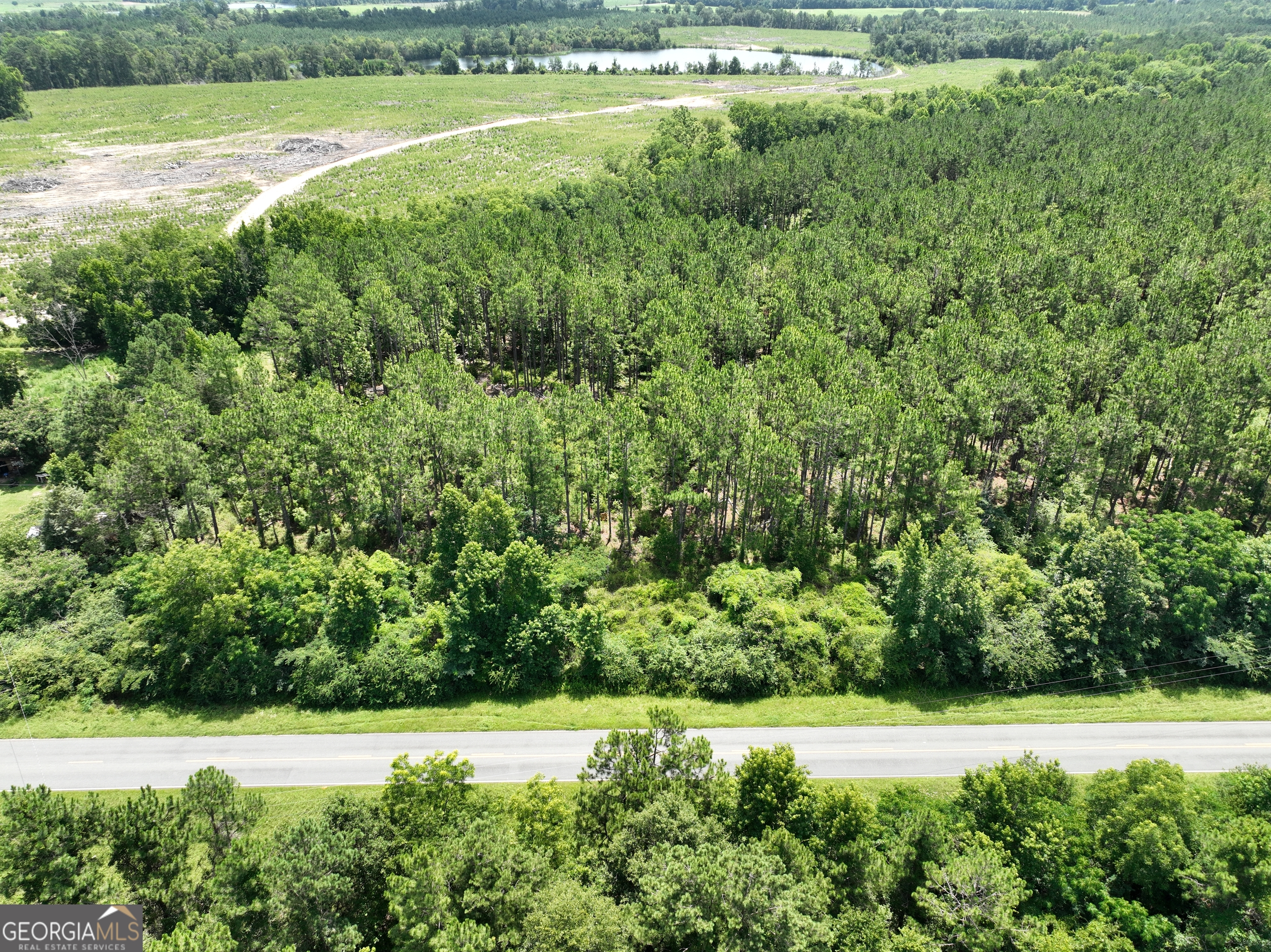 0 Middle Ground Church Road Chester, GA 31012 - Photo 9 of 13 a view of a yard with an outdoor space