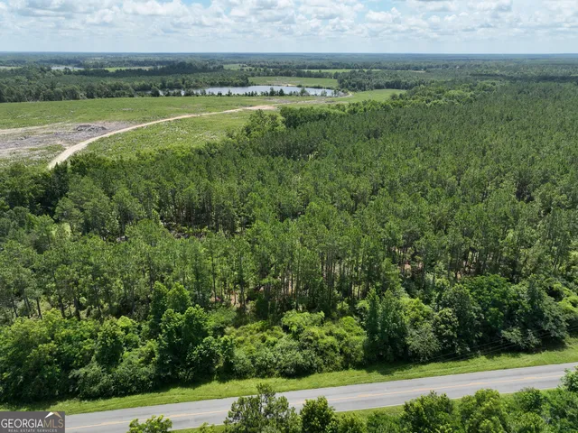 a view of a lush green space with lots of trees