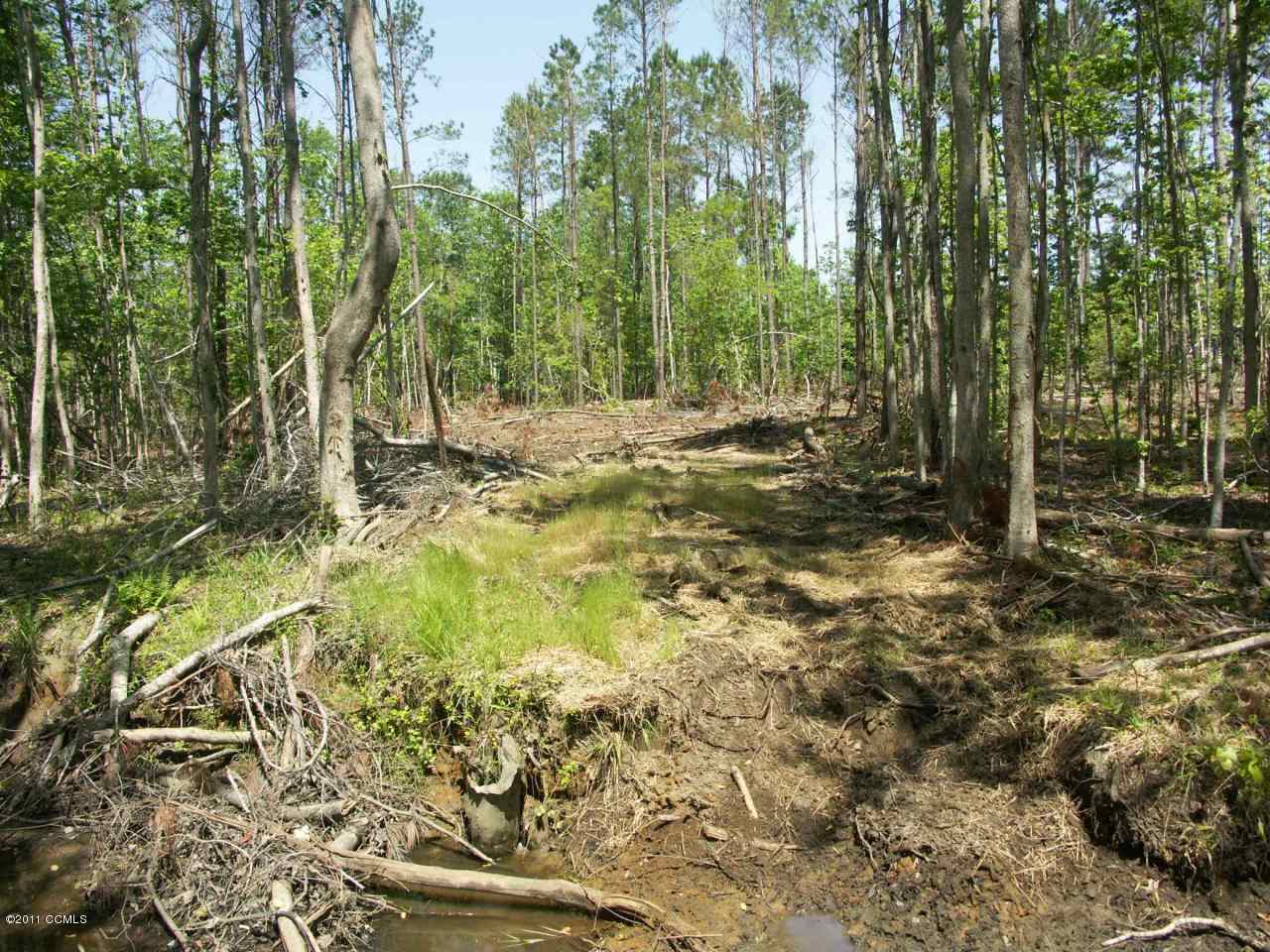 Tbd Old Winberry Road Newport, NC 28570 - Photo 8 of 10 Trails