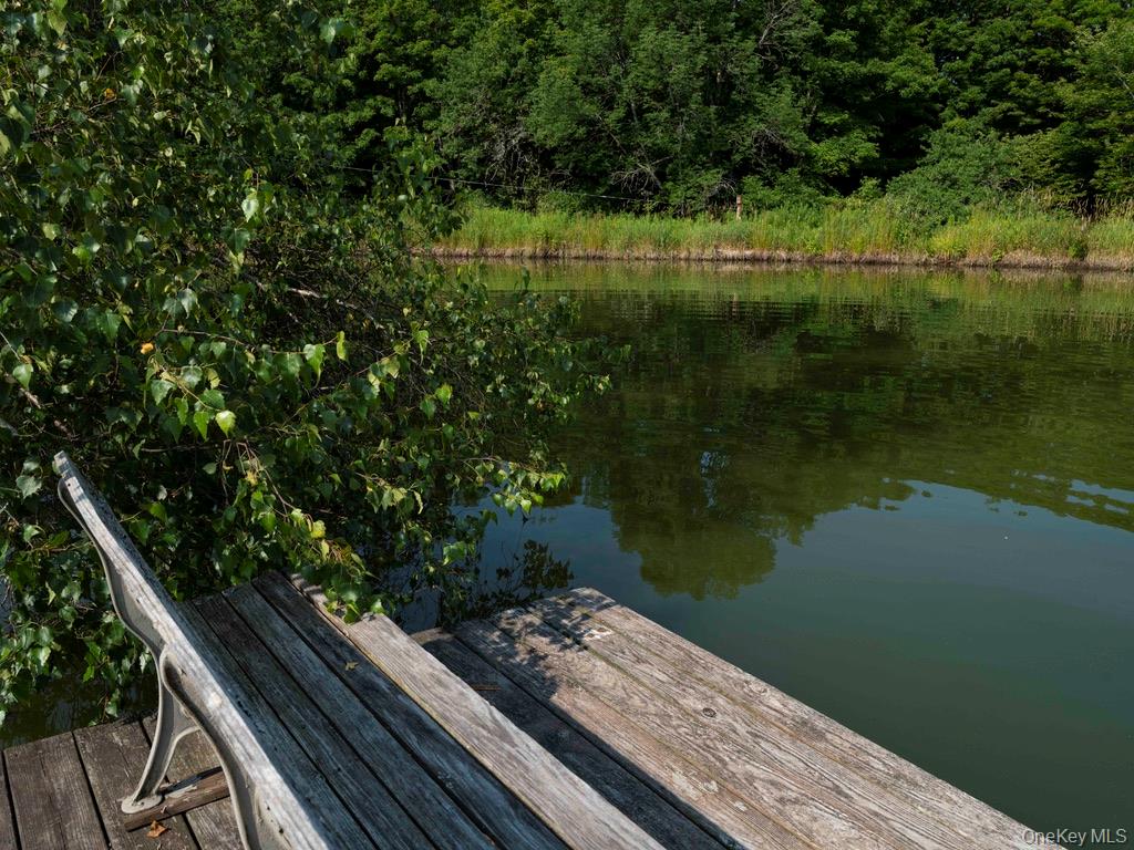 284 Ridge Road Hamden, NY 13782 - Photo 39 of 44 The dock at the pond's edge is perfect for relaxing and watching the Koi fish play