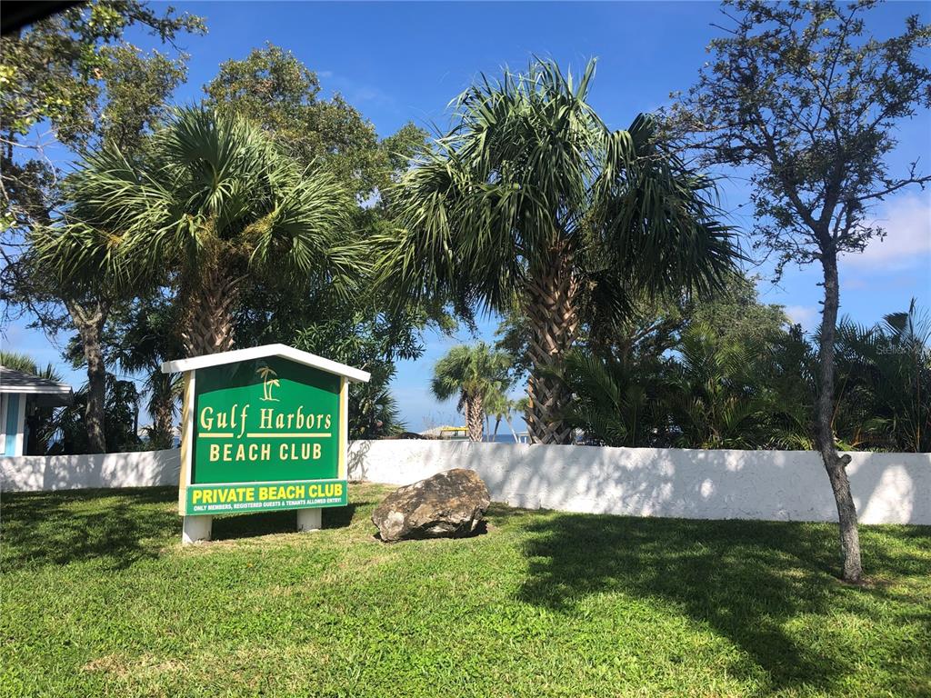 13 Captains Court New Port Richey, FL 34652 - Photo 12 of 35 a green field with big trees