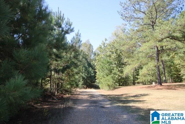 0 County Road 928, Unit 19 Delta, AL 36258 - Photo 10 of 43