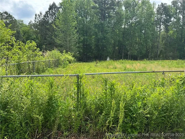 a view of a yard with a tree in the background