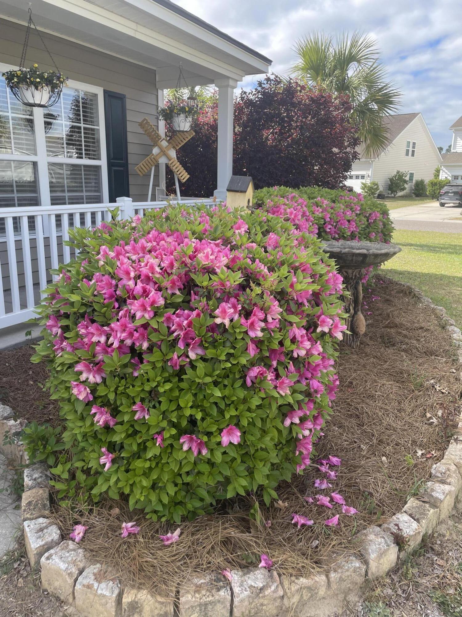 408 Lakewind Drive Moncks Corner, SC 29461 - Photo 2 of 30 IMG_5035