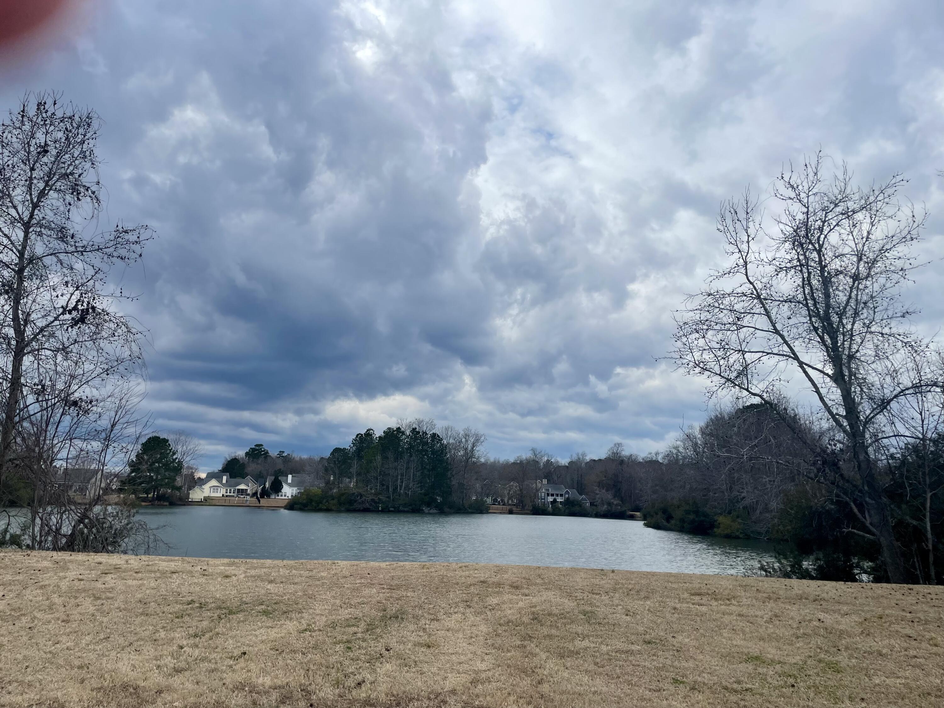 408 Lakewind Drive Moncks Corner, SC 29461 - Photo 25 of 30 IMG_4631