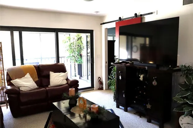 a potted plant in front of a door