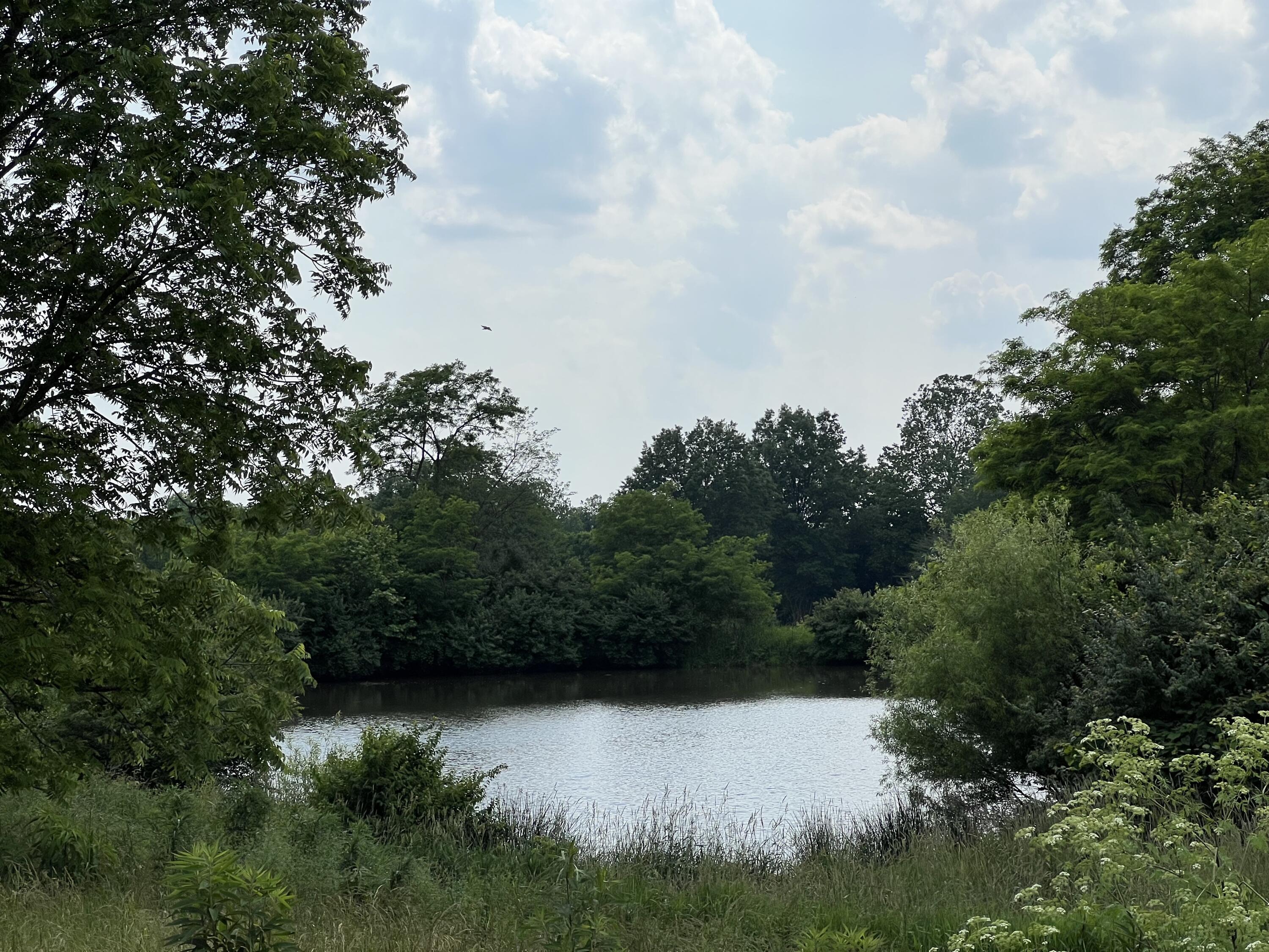 1542 Ferguson Road Lexington, KY 40511 - Photo 23 of 23 pond