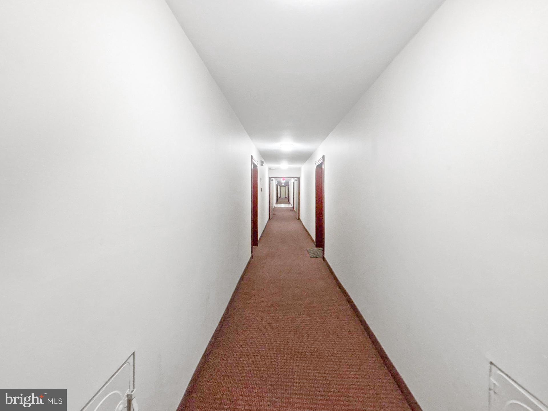 1005 Chillum Road, Unit 317 Hyattsville, MD 20782 - Photo 3 of 9 a hallway with wooden floor and windows