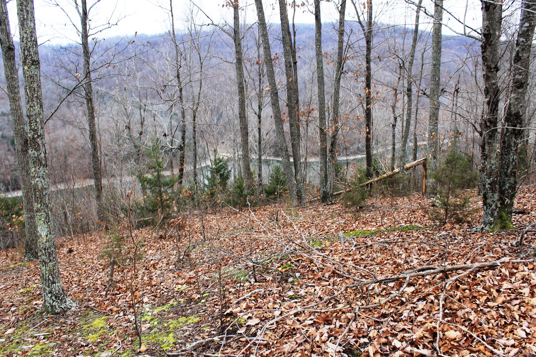 2 Cornerstone Pkwy Point Allons, TN 38541 - Photo 13 of 13