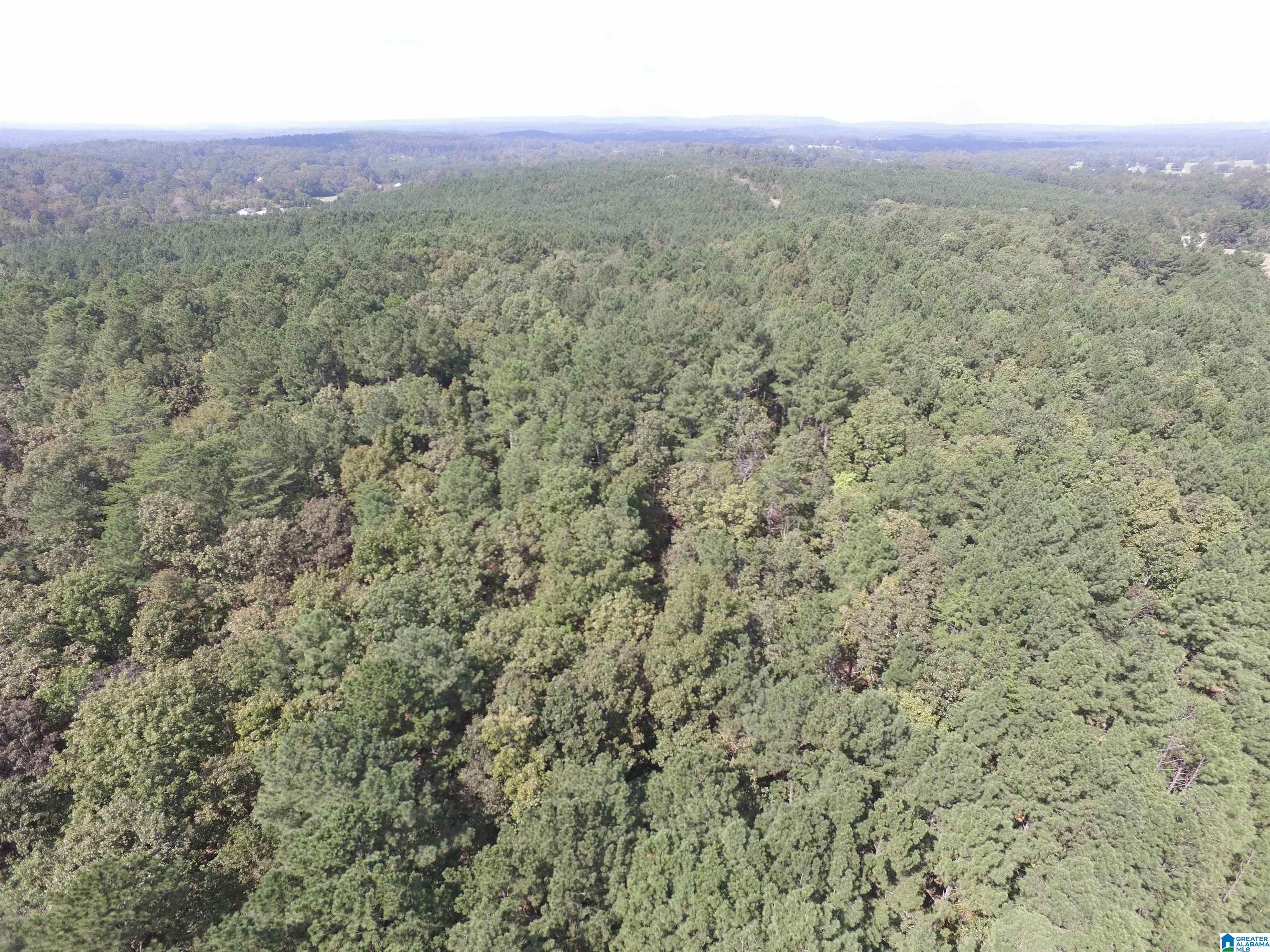 9138 Thermal Road, Unit 8 Warrior, AL 35180 - Photo 16 of 26