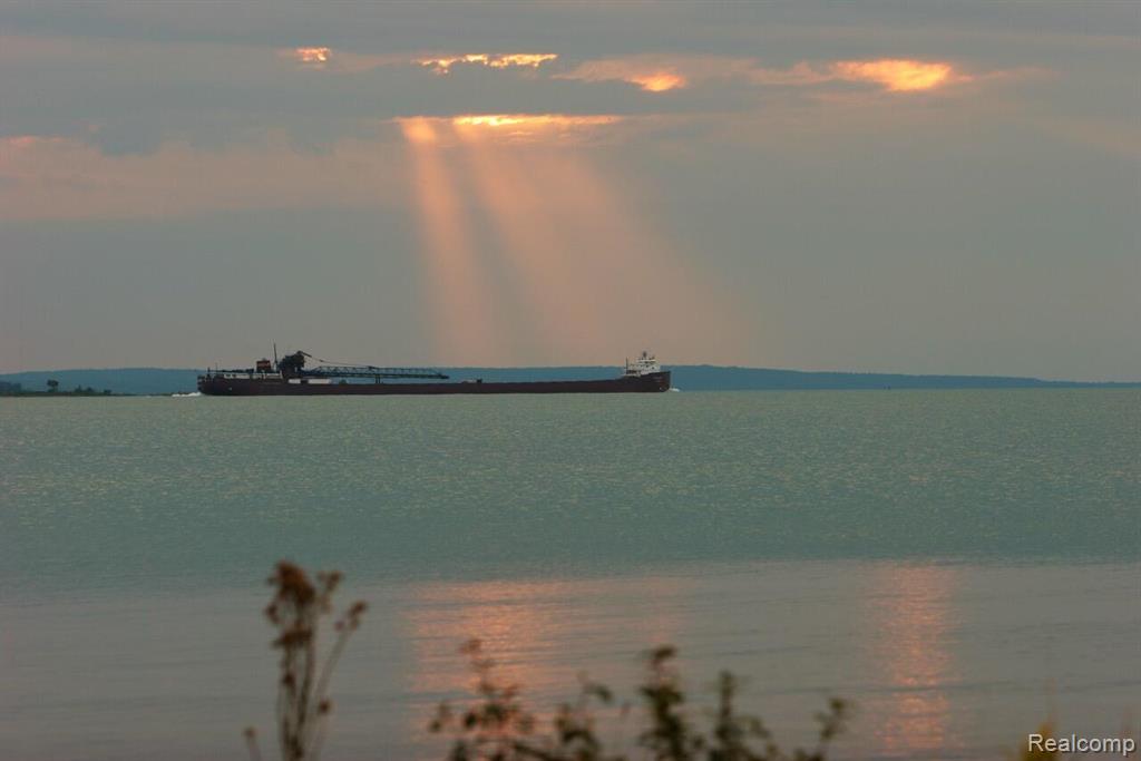 33882 South Dix Point Road Drummond Island, MI 49726 - Photo 6 of 19