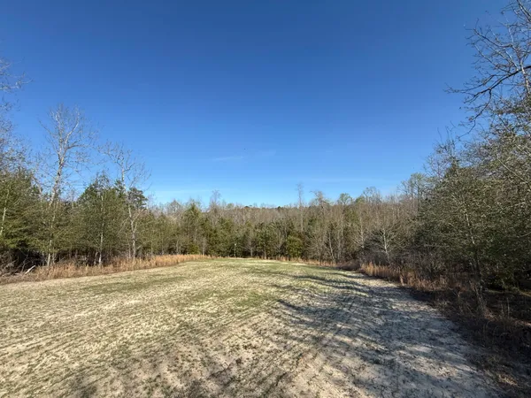 $300,000 | 0 South Carolina 3, Barnwell, SC 29812