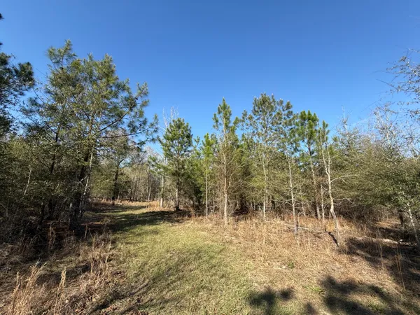 $300,000 | 0 South Carolina 3, Barnwell, SC 29812