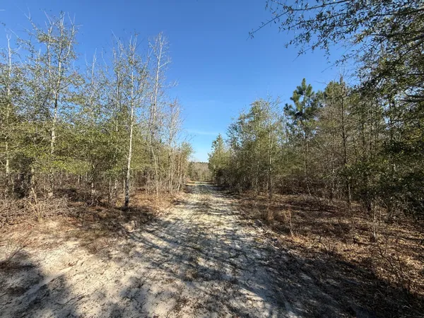 $300,000 | 0 South Carolina 3, Barnwell, SC 29812