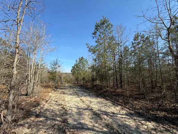 $300,000 | 0 South Carolina 3, Barnwell, SC 29812