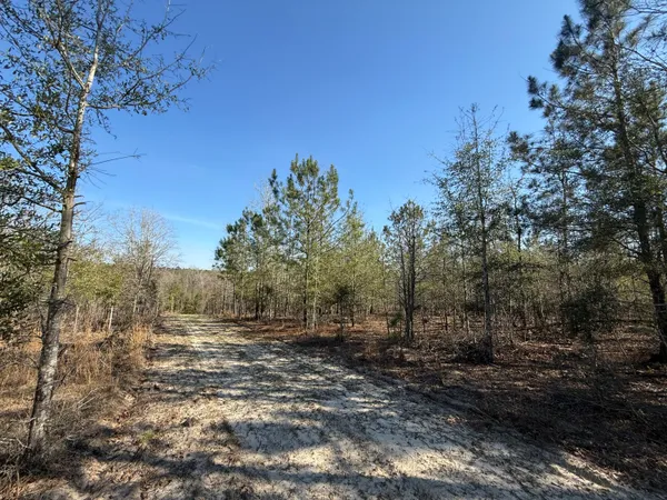 $300,000 | 0 South Carolina 3, Barnwell, SC 29812