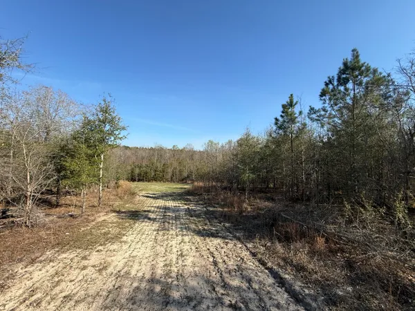$300,000 | 0 South Carolina 3, Barnwell, SC 29812