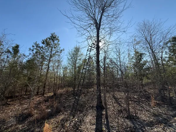 $300,000 | 0 South Carolina 3, Barnwell, SC 29812