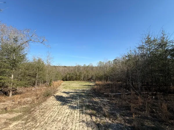 $300,000 | 0 South Carolina 3, Barnwell, SC 29812
