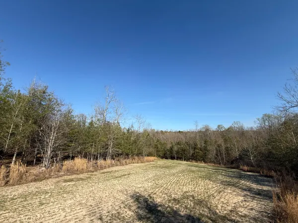 $300,000 | 0 South Carolina 3, Barnwell, SC 29812