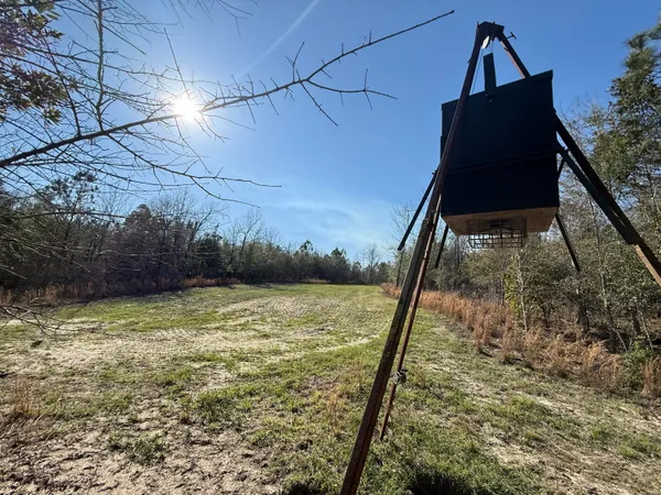 $300,000 | 0 South Carolina 3, Barnwell, SC 29812