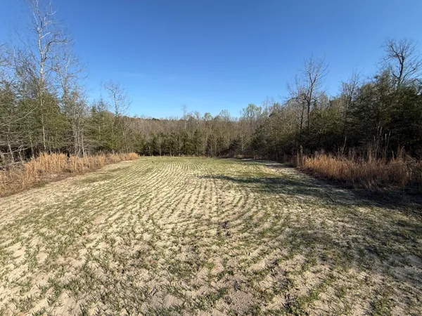 $300,000 | 0 South Carolina 3, Barnwell, SC 29812