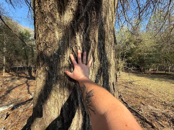 $300,000 | 0 South Carolina 3, Barnwell, SC 29812