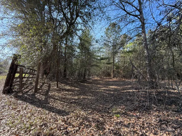 $300,000 | 0 South Carolina 3, Barnwell, SC 29812