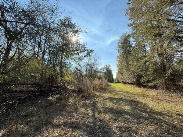 $300,000 | 0 South Carolina 3, Barnwell, SC 29812