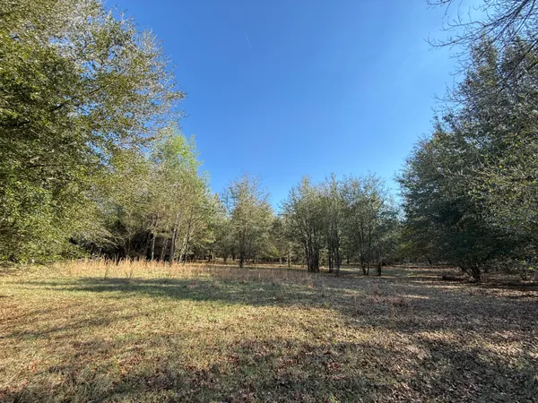 $300,000 | 0 South Carolina 3, Barnwell, SC 29812