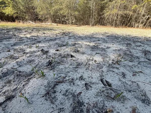 $300,000 | 0 South Carolina 3, Barnwell, SC 29812