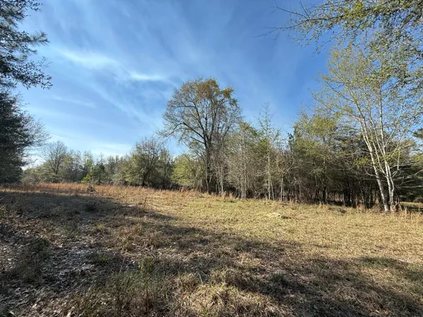 $300,000 | 0 South Carolina 3, Barnwell, SC 29812