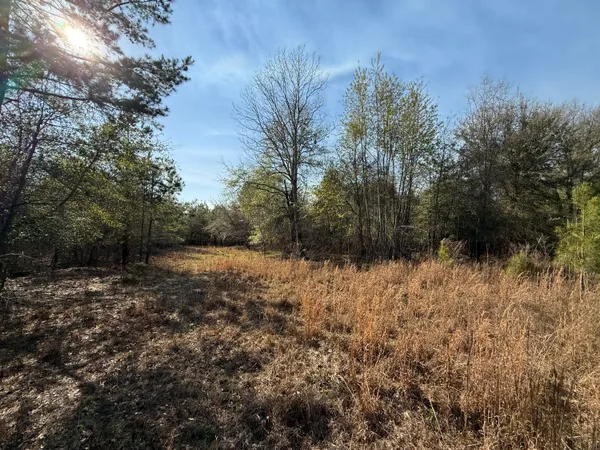 $300,000 | 0 South Carolina 3, Barnwell, SC 29812