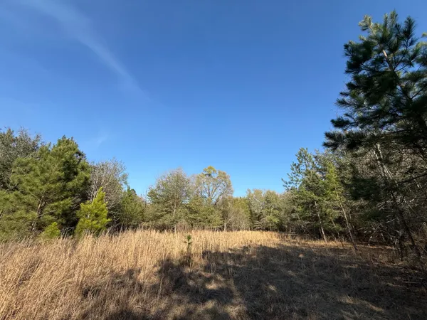 $300,000 | 0 South Carolina 3, Barnwell, SC 29812